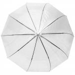 Зонт  женский трость Robin, арт.3008_product